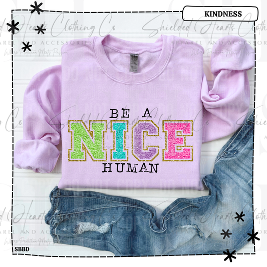 Be A Nice Human Shirt