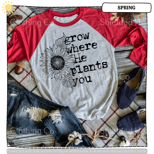 Grow Where He Plants You Shirt