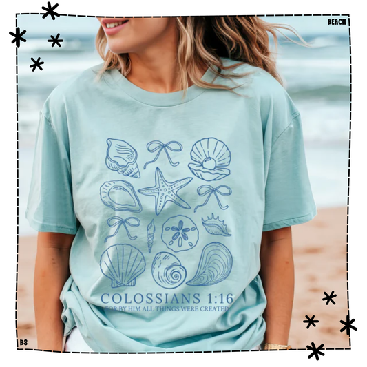 Sea Shell Collage Colossians