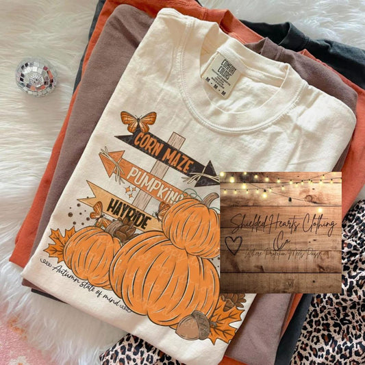 Fall Signs Shirt