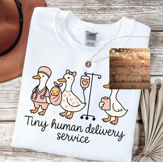 Silly Goose Tiny Human Delivery Service Shirt
